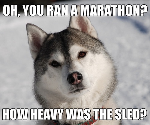 marathon_wolf_sled